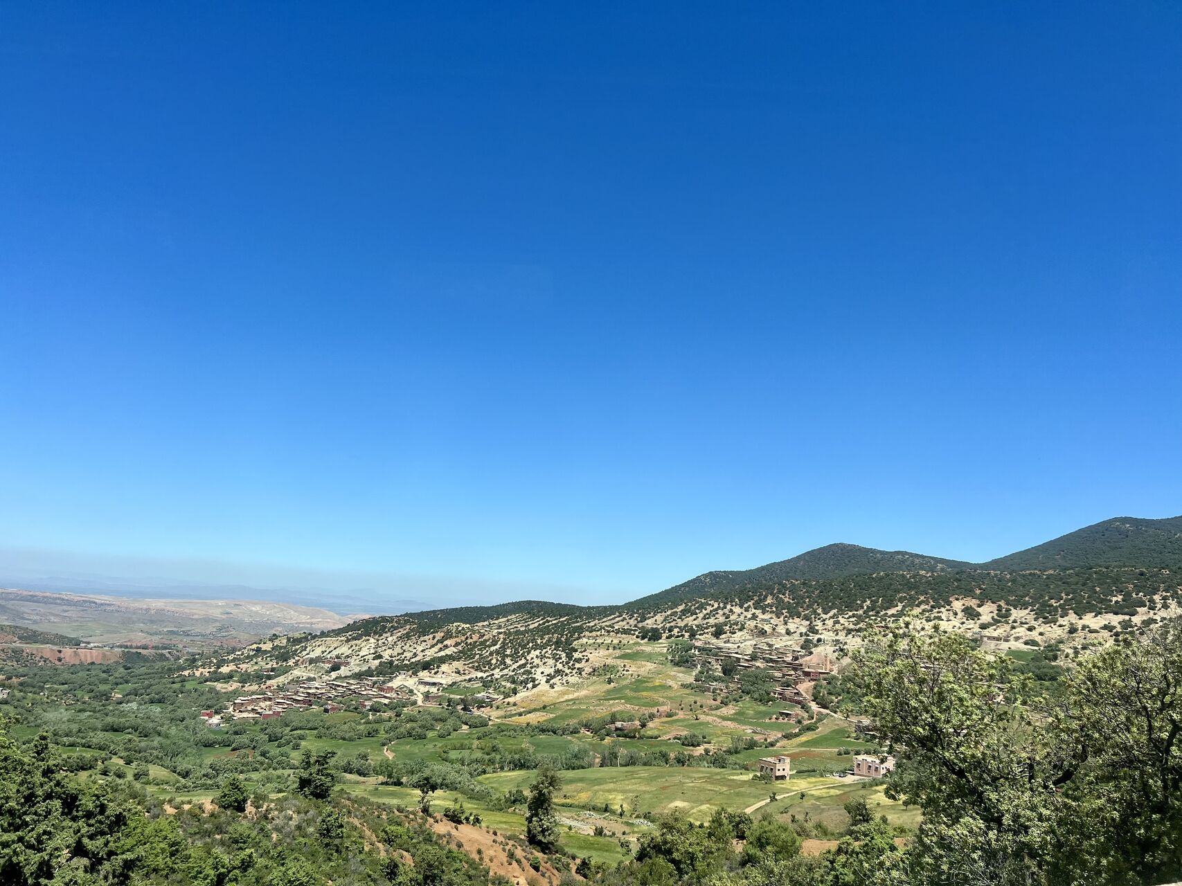 Morocco Lush Green Landscape