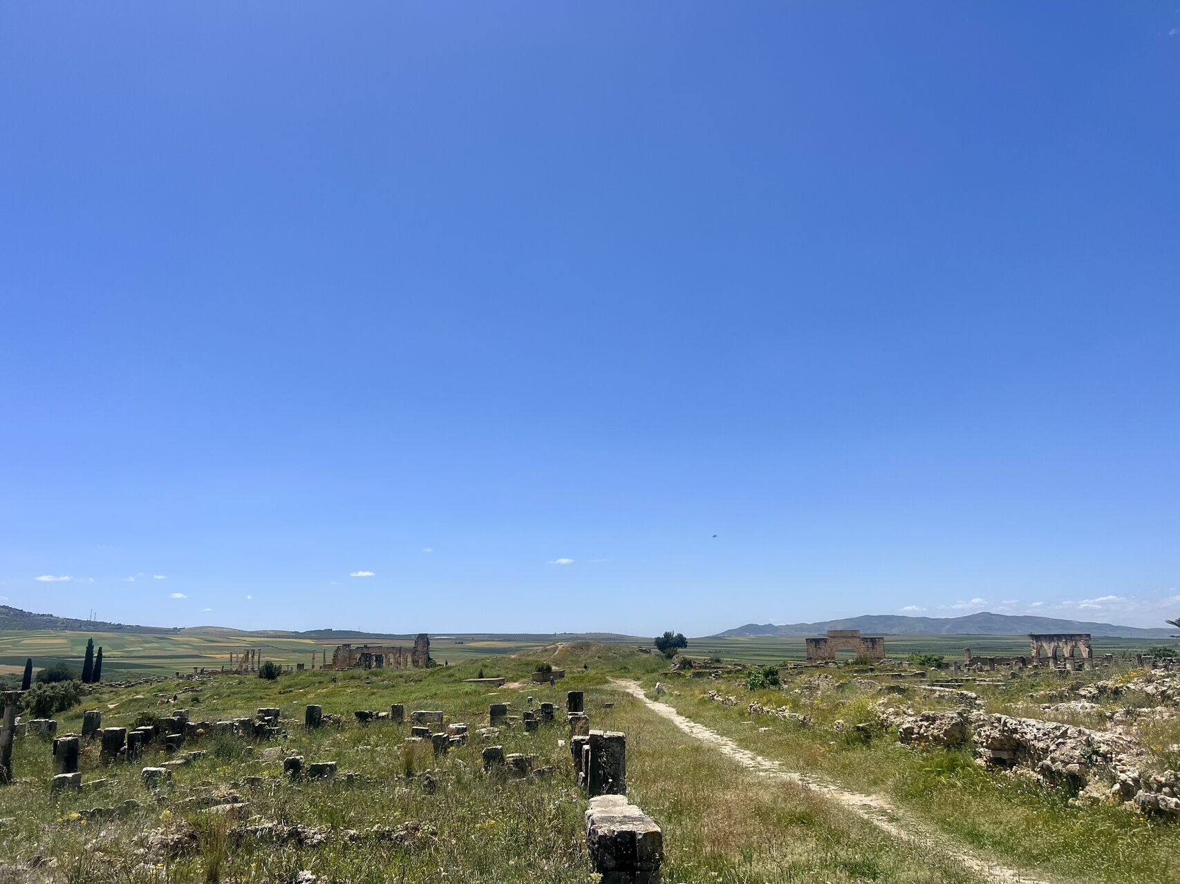 Volubilis