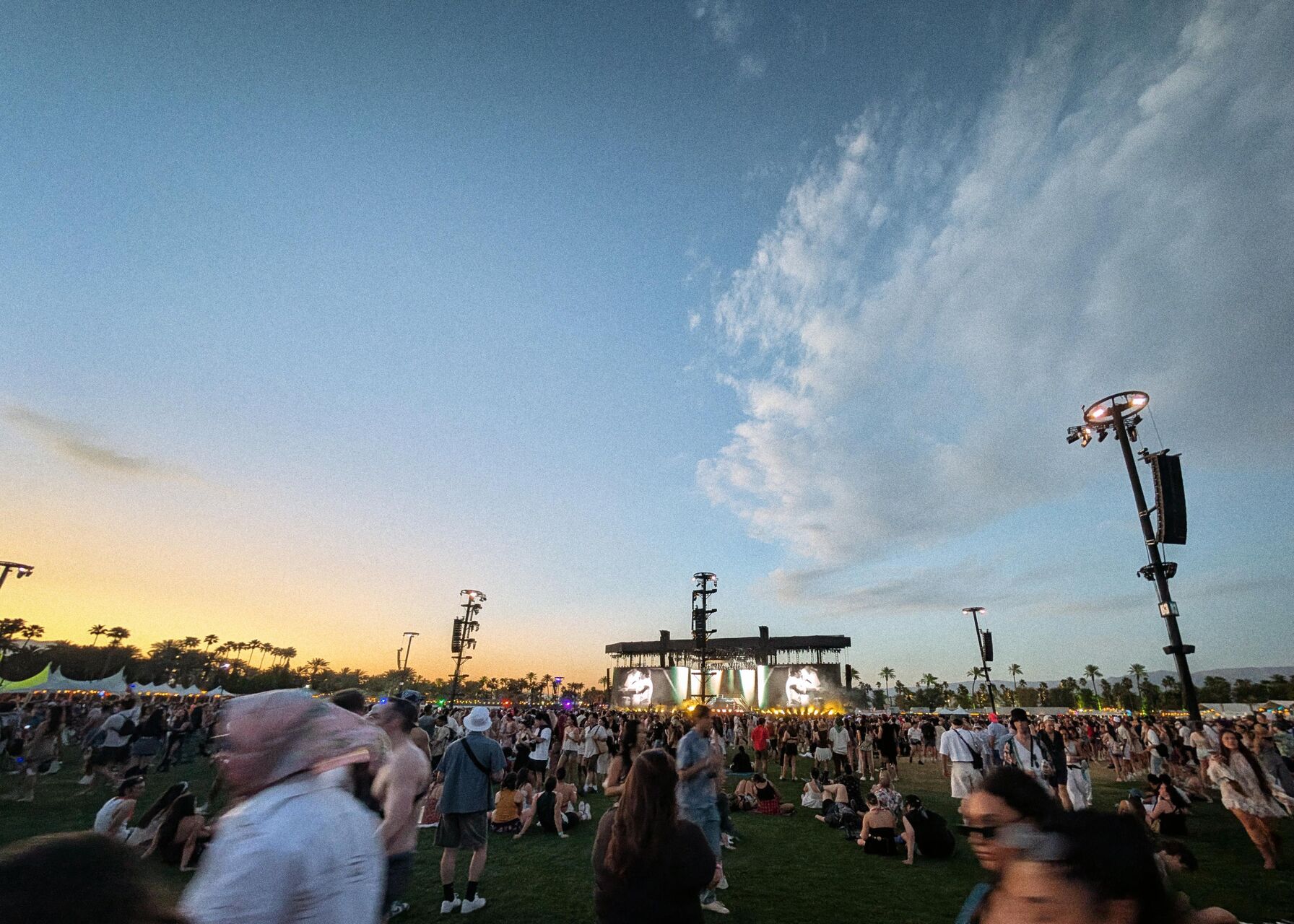 Coachella - Jeff Colhoun