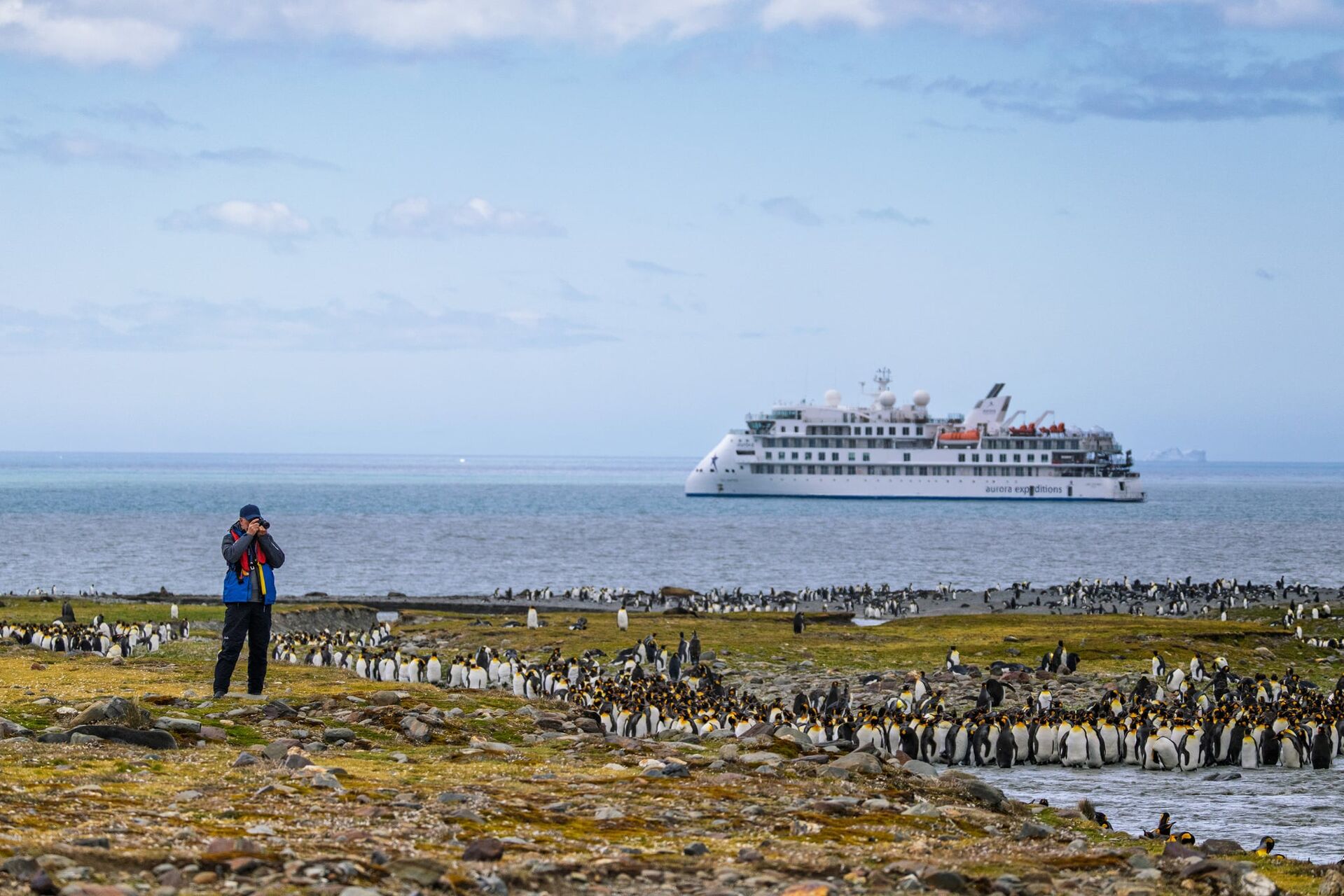 Pinguin Island with Aroura expedition ship in the background