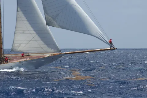 Antigua Sailing Week