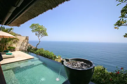 Private Infinity Pool Overlooking the Ocean