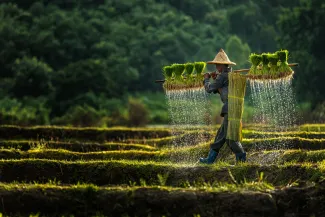 Indonesia - Adobe Stock