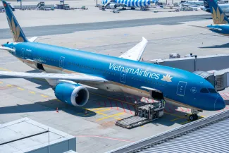 kittyfly - stock.adobe.com