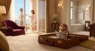 Bed bugs in hotel room