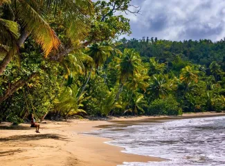 Dominica Dominica