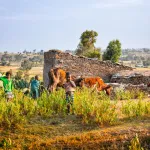 Ethiopian Airlines halts Tigray routes amid fighting