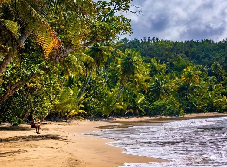 Dominica Dominica